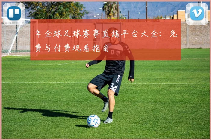 年全球足球赛事直播平台大全：免费与付费观看指南